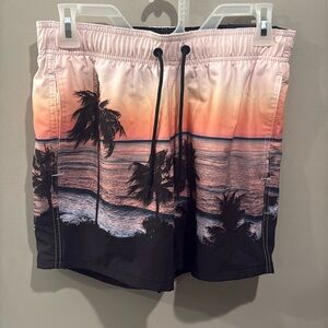 Hollister Men’s Swim Trunks - Sunset Palm Tree Design